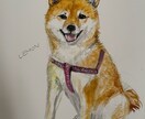 ペット肖像画、可愛くお描きします アニマルコミュニケータが愛情込めてお描きします。SM0サイズ イメージ4