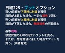 専業投資家が先物オプション取引の基本構造を教えます 一時的ではなく、長く使える投資知識を伝授します！ イメージ5