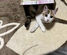 お時間持て余してる方〜どんな事でもお聞き致します 老若男女問いません雑談・何となく話したい方☆ イメージ1
