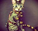 宇宙から来た猫がニンゲンのお話しを何でも聞きます あなたのココロを緩めるお手伝いしたいにゃ！短時間でもOK〜☆ イメージ1