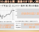 東大式★私が脱サラできた極秘の手法教えます 東大式手法×資金管理・メンタル管理にもフォーカスした手法 イメージ3