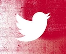 日本人向けツイッター拡散サービスの方法教えます 販売実績70件越え！副業にも、プロモにも使える情報です！ イメージ2
