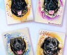 写真から愛犬・愛猫のペットアート描きます あなたの大切な家族を温かい一枚に残します♪ イメージ2