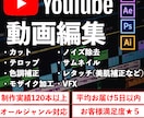 YouTubeの動画編集を行ないます YouTubeのチャンネルのサポートもします！ イメージ1