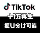 TikTokの再生数を＋1万回増加させます オプションで納品後【減少なしいいね】対応可！セーブやシェアも イメージ4