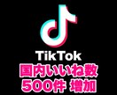 TikTok 国内いいね数を500件増やします SNSの宣伝・拡散はおまかせください！ イメージ1