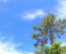 どんな写真もインスタ映えに加工いたします まるでプロのカメラマンが撮ったような画像に仕上げます イメージ6