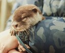 その電話、代わりにお掛けします 苦手な電話、伝えづらい電話、代わりに何でもお伝えします！ イメージ1