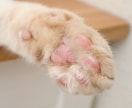 動物に関する記事作成します ☆犬・猫・小動物お任せください♪ イメージ1