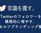 Twitterセルフブランディング1冊で完結します 【知識ゼロ・人脈ゼロ】から爆伸びしまくった最強ノウハウ イメージ1