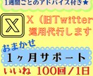 アドバイス付き★いいね【1ヶ月】x運用代行します 代行で時短＆効果的な『いいね』でフォロワー増につなげます♪ イメージ1