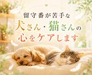 留守番が苦手な愛犬・愛猫の心をケアします 寂しさや不安を感じやすい子の心の安定をサポートします イメージ1