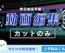即日納品可能！動画のカット編集を承ります 「とりあえずすぐに動画が欲しい！！」という方向け イメージ1