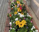 植物に関するお悩みの相談お受けします 園芸店勤務23年の経験を活かして丁寧にアドバイス致します イメージ3