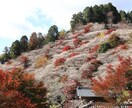 愛知県で写真撮影代行します フルサイズ一眼カメラで撮影した高画質な写真を提供します イメージ7