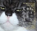そばにいるよ。心を軽くする会話をします 抱えている思いを取り除いて♡心が前に進むお手伝いをします。 イメージ7