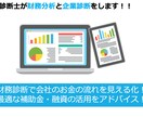 中小企業診断士が財務分析と企業診断をします 中小企業の経営者様・個人事業主様向け イメージ1