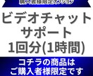 購入者様限定：ビデオチャットサポートします ビデオチャットサポート1回分（約1時間） イメージ1