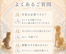 虹の橋を渡ったペットちゃんの気持ち霊視します 家族として大切なあの子との『心の対話』をお届けします イメージ10