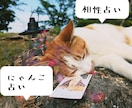 気になる人との相性をにゃんこが占います 気になる人や物とのご縁を占うにゃ✵恋・仕事・友情 イメージ1