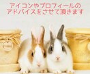 最大3日間♡アイコン、プロフのアドバイスします マッチングアプリなどのアイコンやプロフにアドバイスします♫ イメージ1