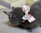 ペットの洋服やグッズの型紙(パターン)作ります あなたのペットに合ったパターンを作成します。 イメージ5