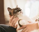 夜寂しい方、お話付き合います 気兼ねなく色々話せる話し相手がほしい方へ イメージ2