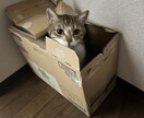 誰にも言えない悩み・愚痴、優しく聞きます 「ちょっと話したい」「誰かに聞いてほしい」そんな時に☺️ イメージ1