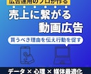 CVR改善特化の動画広告を制作します あなたの商品を「買わない理由」、動画で解決します。 イメージ1