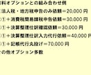 東京の税理士法人が法人税・消費税を電子申告します 満枠でも対応！セルフ方式適正価格の法人税・地方税・消費税申告 イメージ3