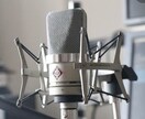 コンペ用楽曲の仮歌（女性ボーカル）を承ります コンペ用楽曲の仮歌を承ります。その他ご相談 イメージ1
