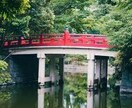 縁結び最強のパワースポットに代理参拝いたします 縁結びで有名な武蔵一宮　氷川神社総本社 イメージ5