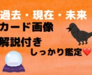 動物タロットで占います ☆人が出てこない野生動物からのメッセージ☆ イメージ1