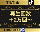 TikTokの再生回数2万回増やします 【実績3150件以上】TikTok再生回数増加／減少保証有り イメージ5
