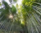 仕事を続けようか悩んでいる方相談にのります 仕事との向き合い方。考え方。方向の変え方。 イメージ1