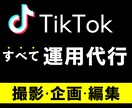 全て込み込み　すべてのTikTok運用を行います ココナラ初の【結果にこだわった運用】 イメージ1