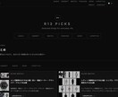 公開済みサイトを参考に、ご希望に合わせて作ります 公開済みの2サイトと同じ型で納品します イメージ3