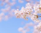 HSPやACで辛い..悩みに寄り添い解決を支えます 繊細/自責/不安/心配/自己肯定感/対人恐怖/依存/発達障害 イメージ2
