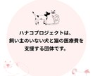 地域猫や多頭飼育崩壊した猫の格安不妊手術相談承ます この出品は購入はされないで、DMからお問い合わせ下さい イメージ5