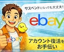 ebayの安全な再登録と再出発サポートします 【完全版】eBayアカウント停止からの復活マニュアル イメージ1