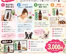 伝わるEC商品画像を3枚作成します 商品画像＋キャッチコピー＋説明文までお任せ イメージ3