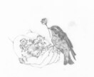 繊細で優しい雰囲気のイラスト描きます シンプルながら特徴のあるイラストをお探しの方のお役に立ちます イメージ1