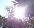 あなたを見守り導くガイドさんの御言葉を届けます 仕事、人間関係、結婚など悩みをスピリチュアル的に解決したい方 イメージ1