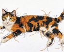 猫・ペットの布コラージュ作品を制作します 写真から布と手縫いでペットアート制作 イメージ4