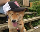 開運♡超特価300円➡︎120円♡魂で観ます 内なる迷いを晴らしていく、魂の声に耳を澄ましてください。 イメージ4
