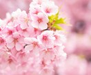 気軽に。あなたのお話を伺います 電話は苦手な方(私もです)LINE感覚でお話しませんか。 イメージ1