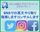 SNSでの英文やり取り、指南しますコンサルします Twitter, Instagram, Facebookなど イメージ1