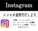 インスタ運用代行でビジネスサポートいたします 集客のプロがブランディング戦略します☆集客UPへ繋げたい方☆ イメージ1