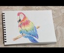 可愛いペットの似顔絵お描きします 色鉛筆を使って温かく柔らかな印象に仕上げます！ イメージ2