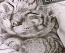 鉛筆で人物や愛犬愛猫などリアルな似顔絵を描きます 鉛筆ならではのあたたかい雰囲気を表現します イメージ6